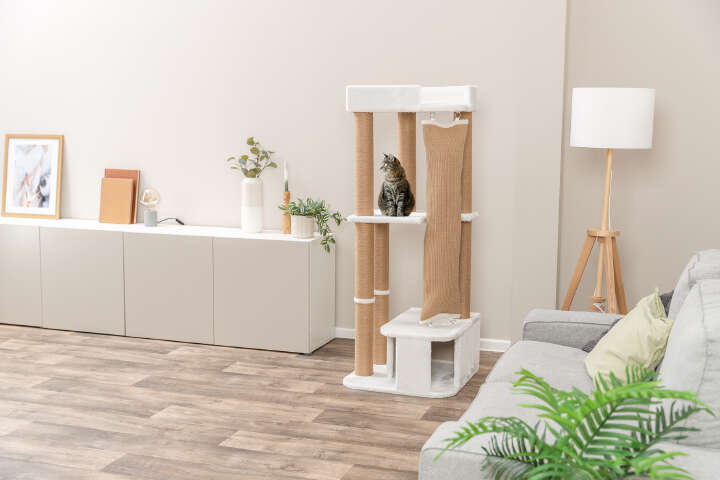 TRIXIE Kratzbaum Active